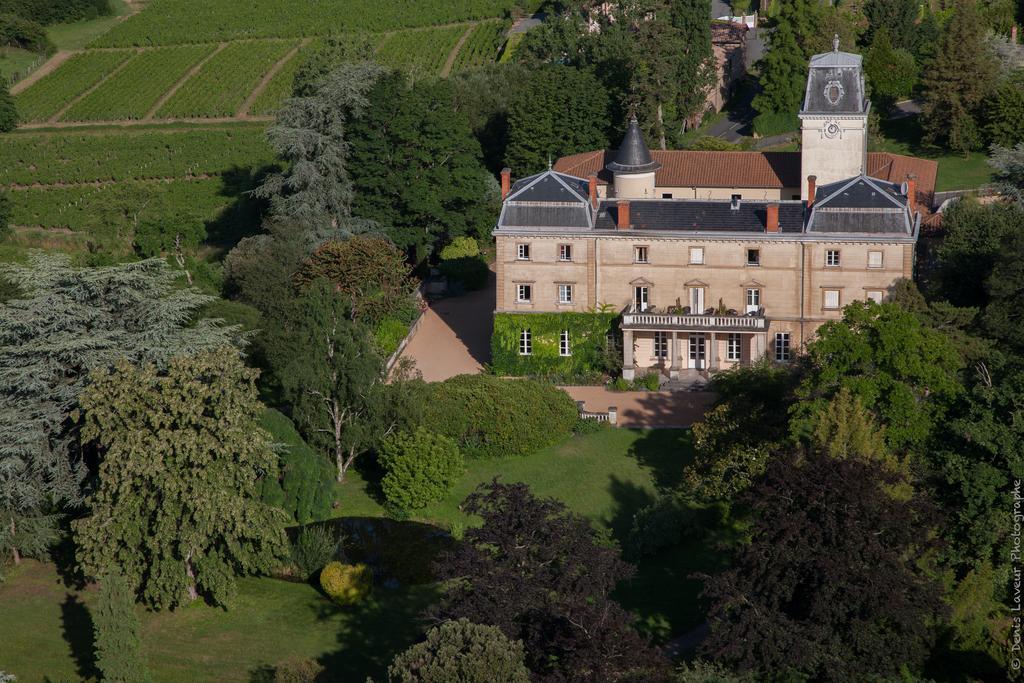 Chateau De Bellevue B&B Villié-Morgon Eksteriør billede